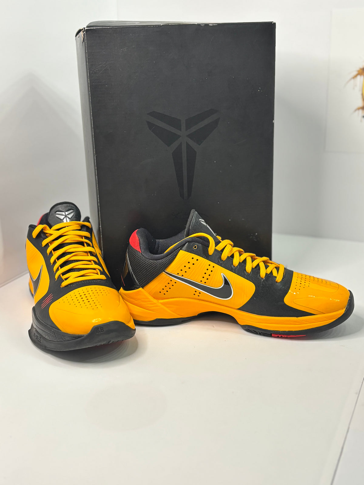 Kobe 5 Protro Bruce Lee