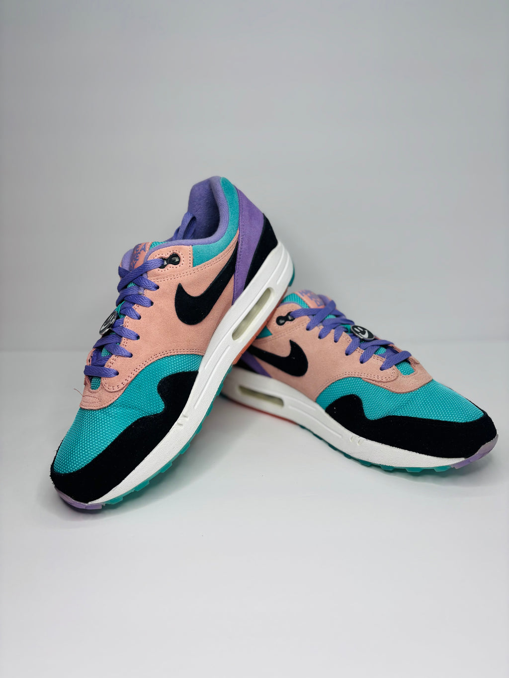 Nike Air Max 1 Have a Nike Day