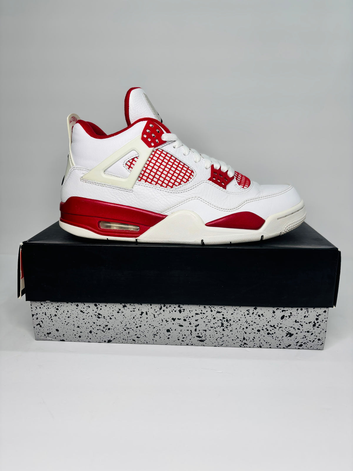 Jordan 4 Alternate 89